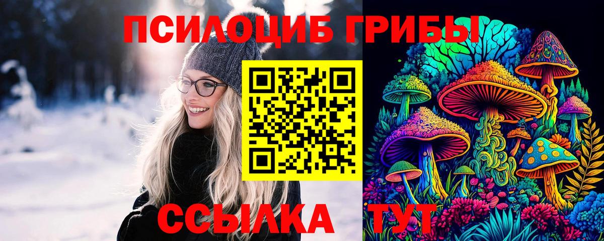 Лабинск  Псилоцибиновые грибы прущие грибы  Вход с VPN 