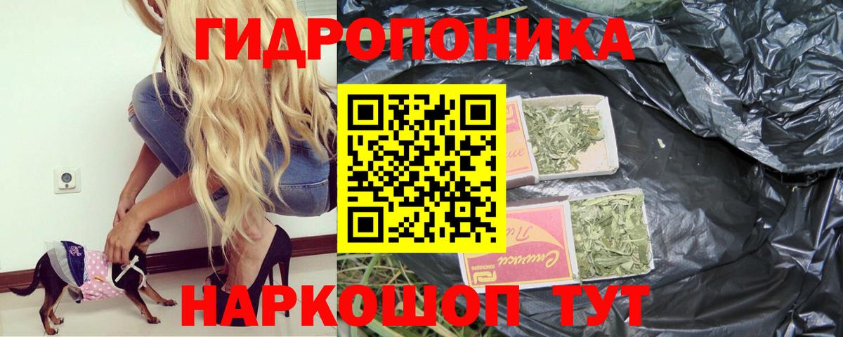 Бошки Шишки AK-47  Каннабис сатива  Лабинск  Шишки марихуана ГИДРОПОН  Бошки Шишки марихуана  Вход с VPN 